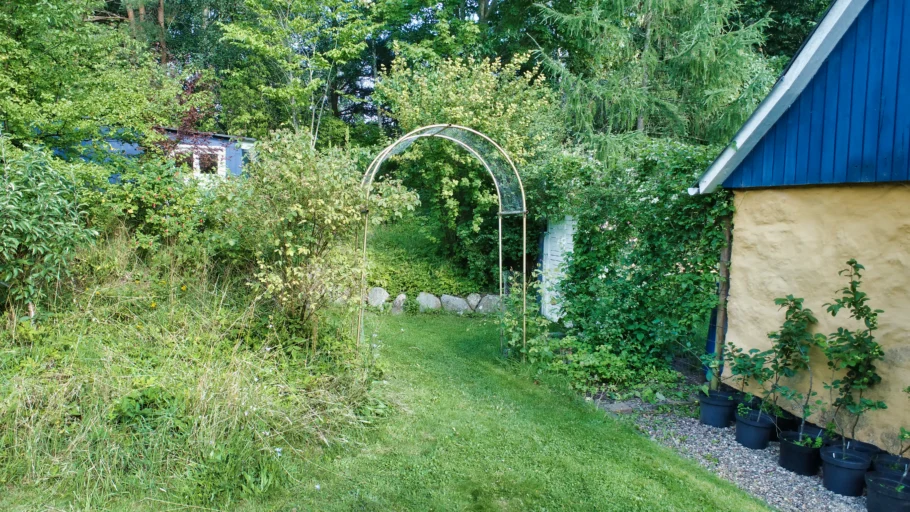 En grøn sti gennem Haverefugiets have med træer, planter og en havebue